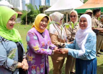 Penanaman Serentak Cabai di Jakpus Sasar 65 Lokasi