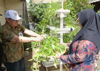 Delapan Kilogram Kangkung Dipanen di Kelurahan Manggarai Selatan